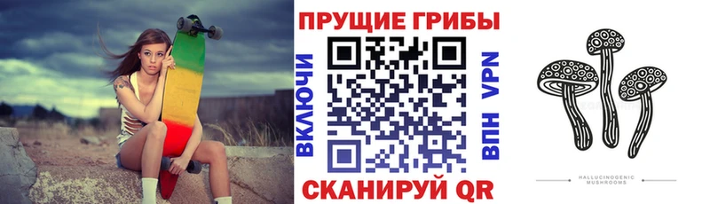 Купить где  Белая Калитва  Галлюциногенные грибы GOLDEN TEACHER 